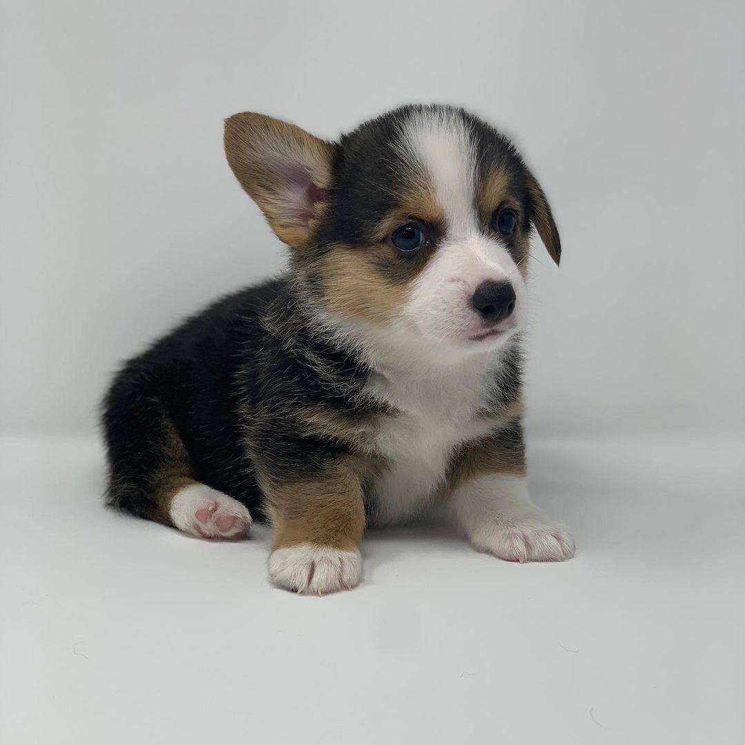 Nina image 1
