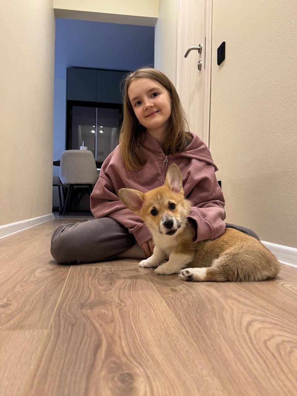 Verified review from a real Corgi puppy parent